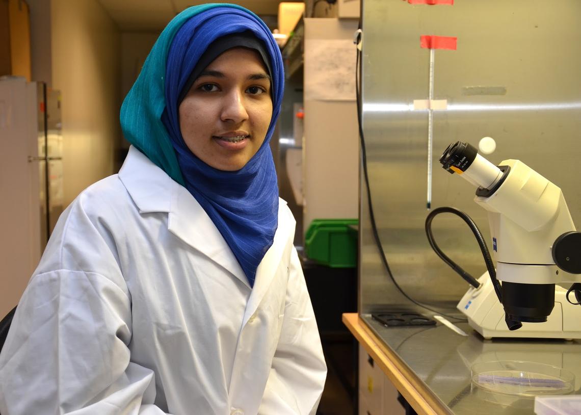 As a participant in the Alberta Innovates-Health Solutions Heritage Youth Researcher Summer (AIHS-HYRS) program, Fatima Iqbal is studying the effects of anaesthesia on children under the mentorship of Dr. Naweed Syed, professor, cell biology and anatomy, and scientific director of the Alberta Children's Hospital Research Institute.
