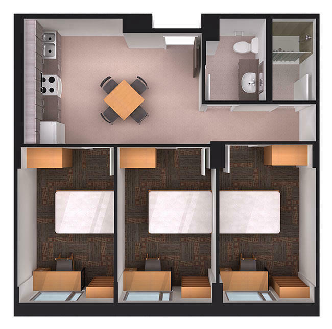 3 Bedroom Apartment