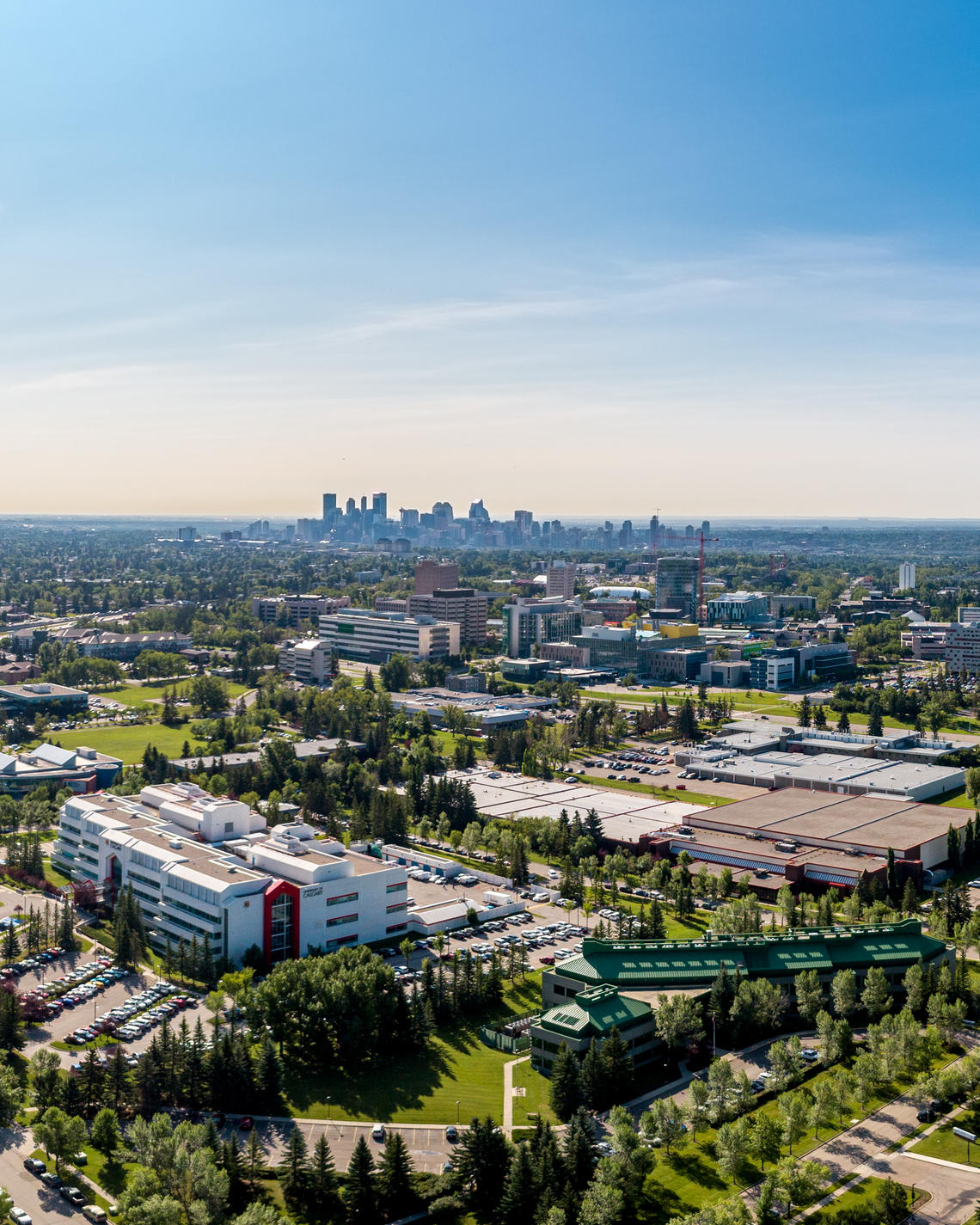 University of Calgary 