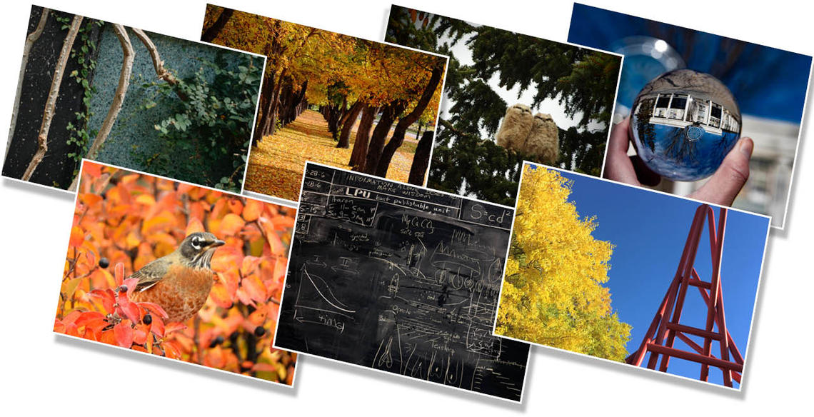 eNotes and Print cards