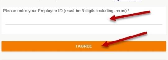 Terms and Conditions