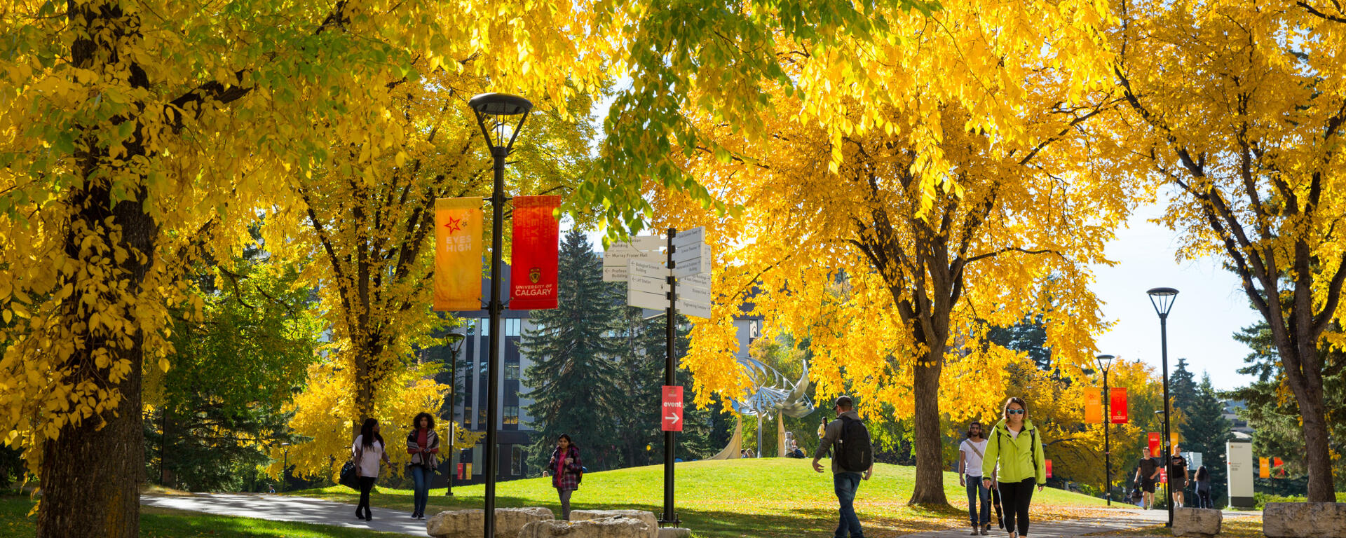 The University of Calgary campus