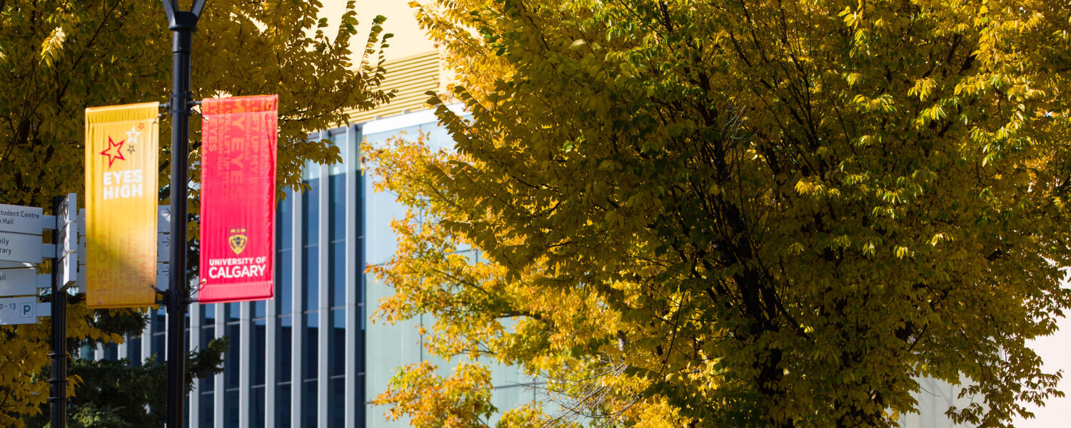 summer-campus