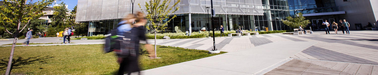 Courtyard outside of the Taylor Family Digital Library in summer