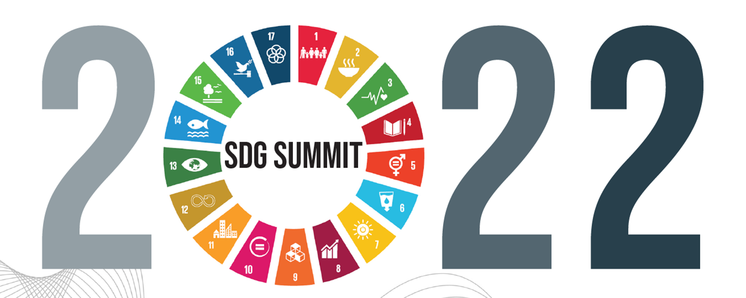 Sustainable Development Goals Summit