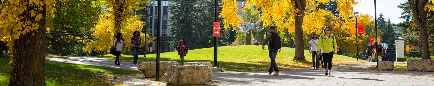 campus in fall