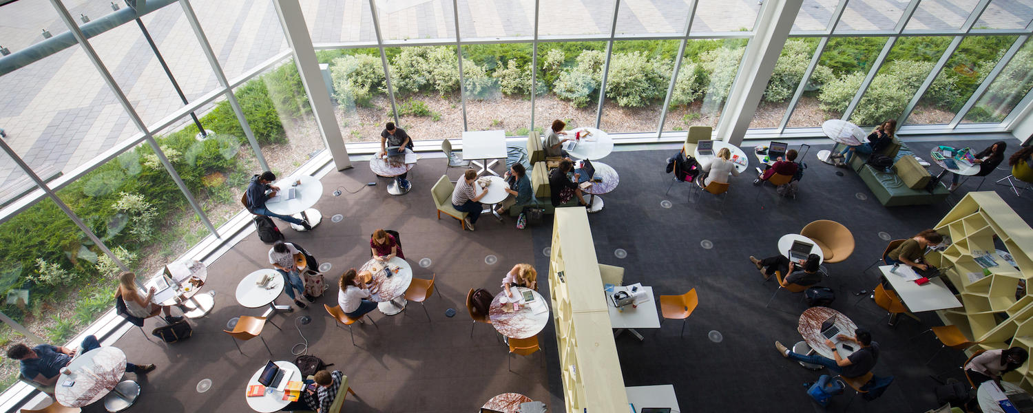 Overhead view of students studying around tables in front of a large window