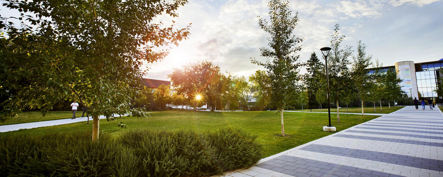 campus at sunrise