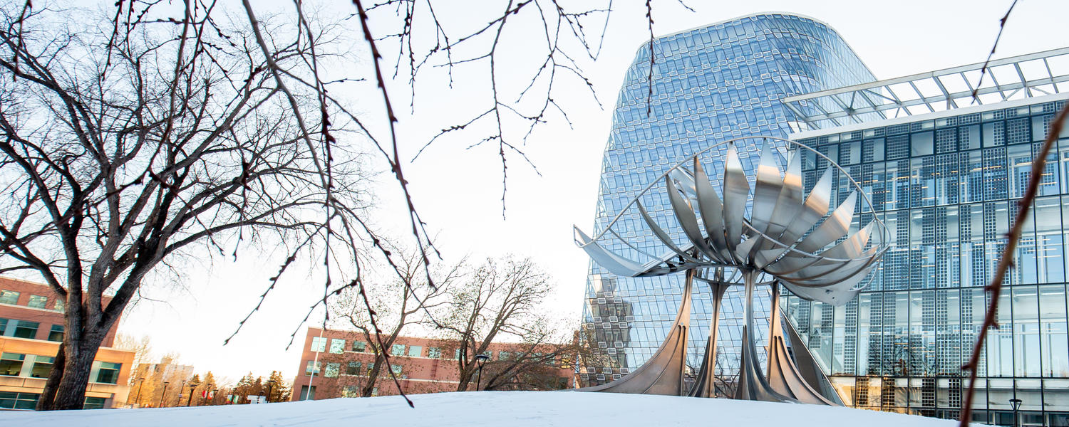 University of Calgary campus in winter