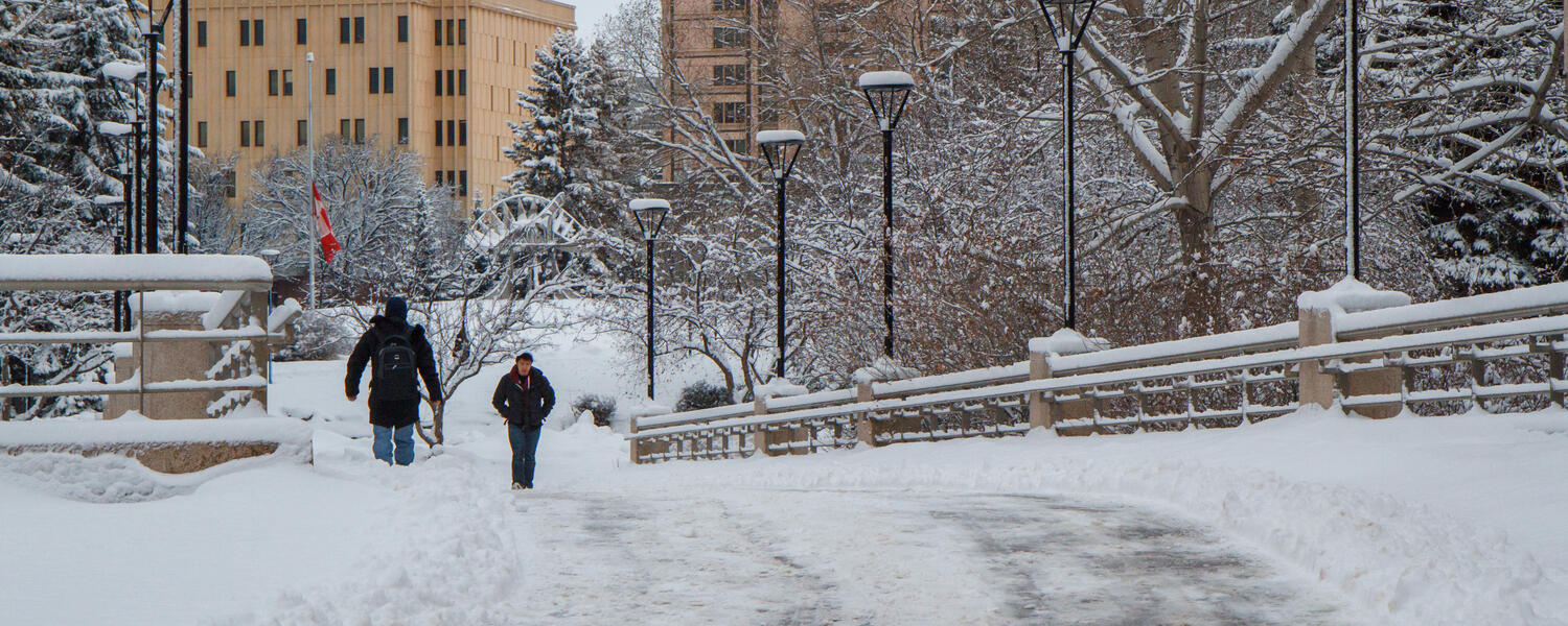 Decorative image of snow on campus