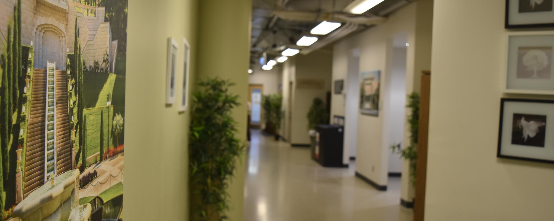 long hallway with plants, paintings and doors