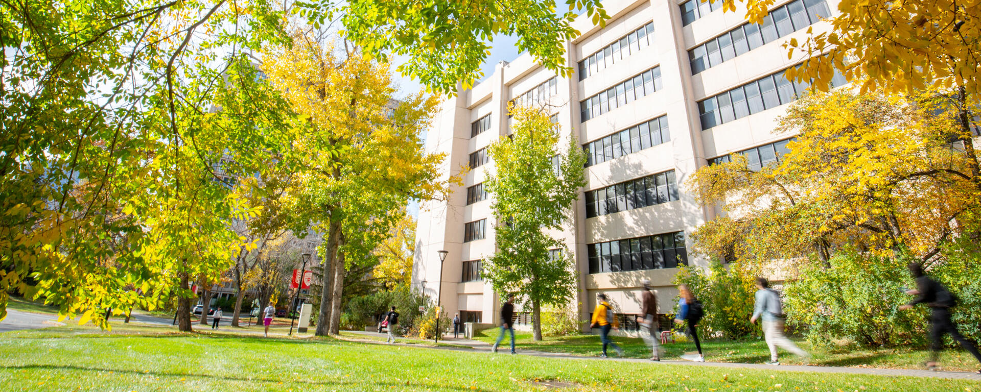 fall foliage on main campus 