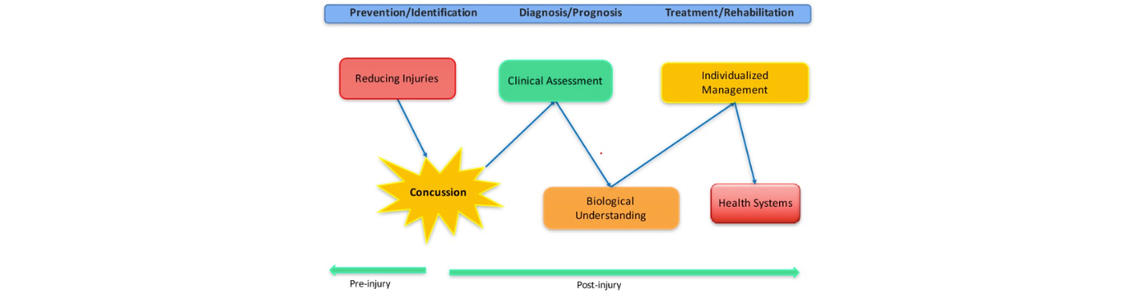 GOALS OF THE ICRP