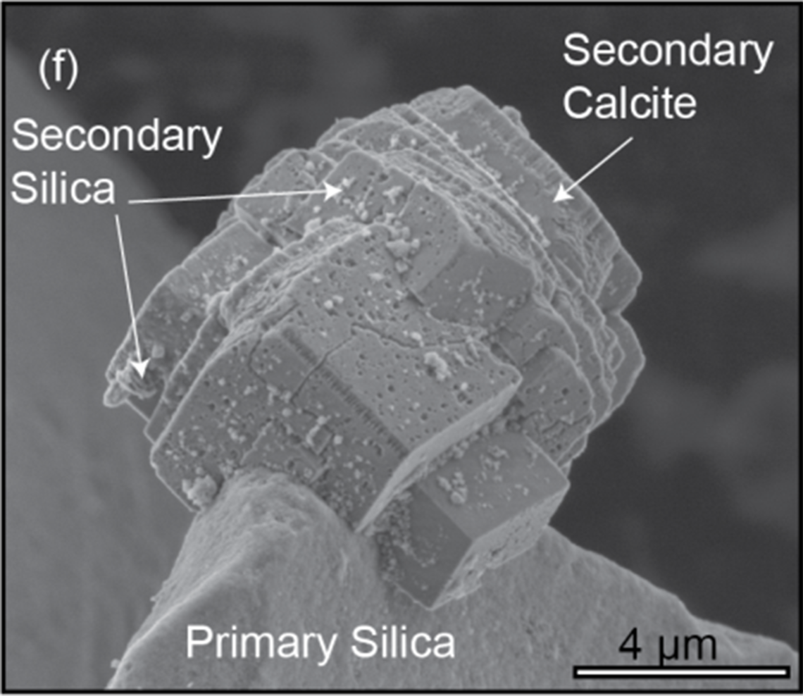 experimentally silicified carbonate