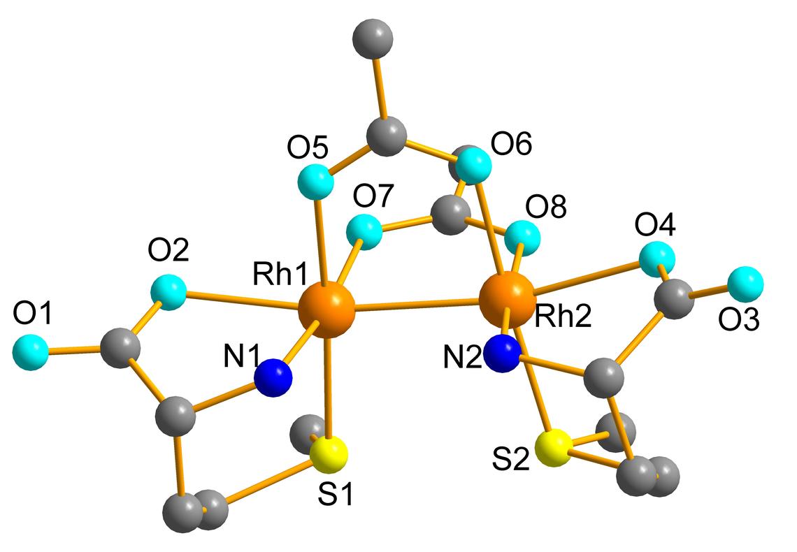 Dirhodium acetate bound to Methionine