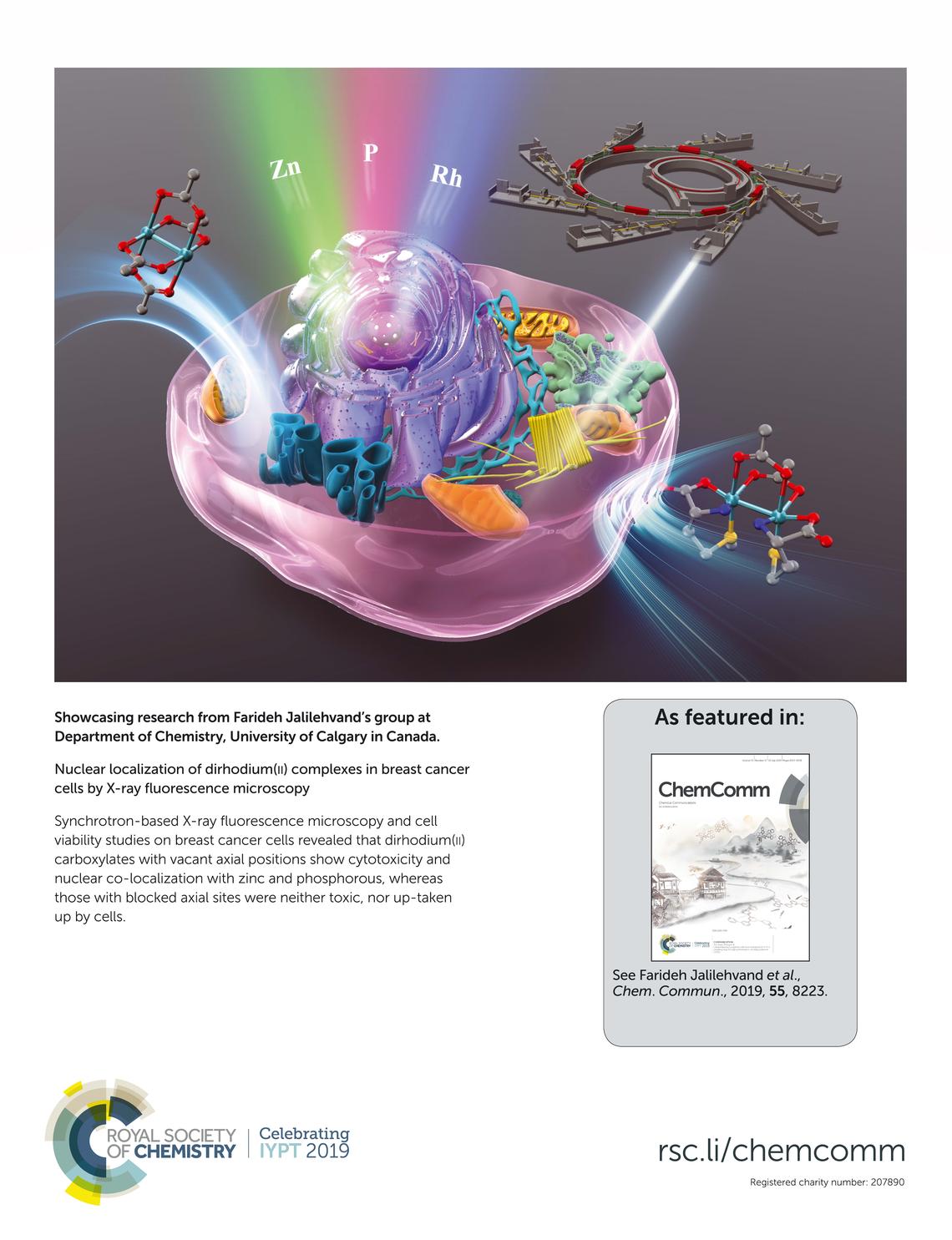 Dirhodium(II) acetate cellular imaging