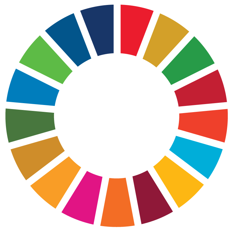 Sustainable Development Goals displayed in one logo