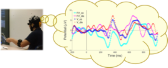 picture-research-eeg+haptics.png