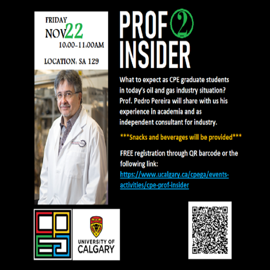 Prof Insider 2019