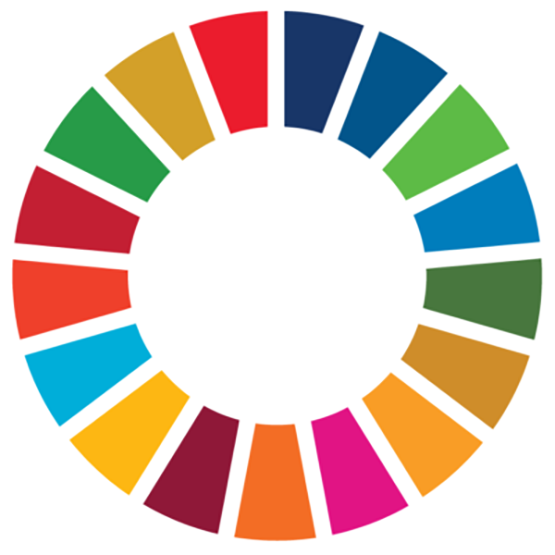 SDG Wheel