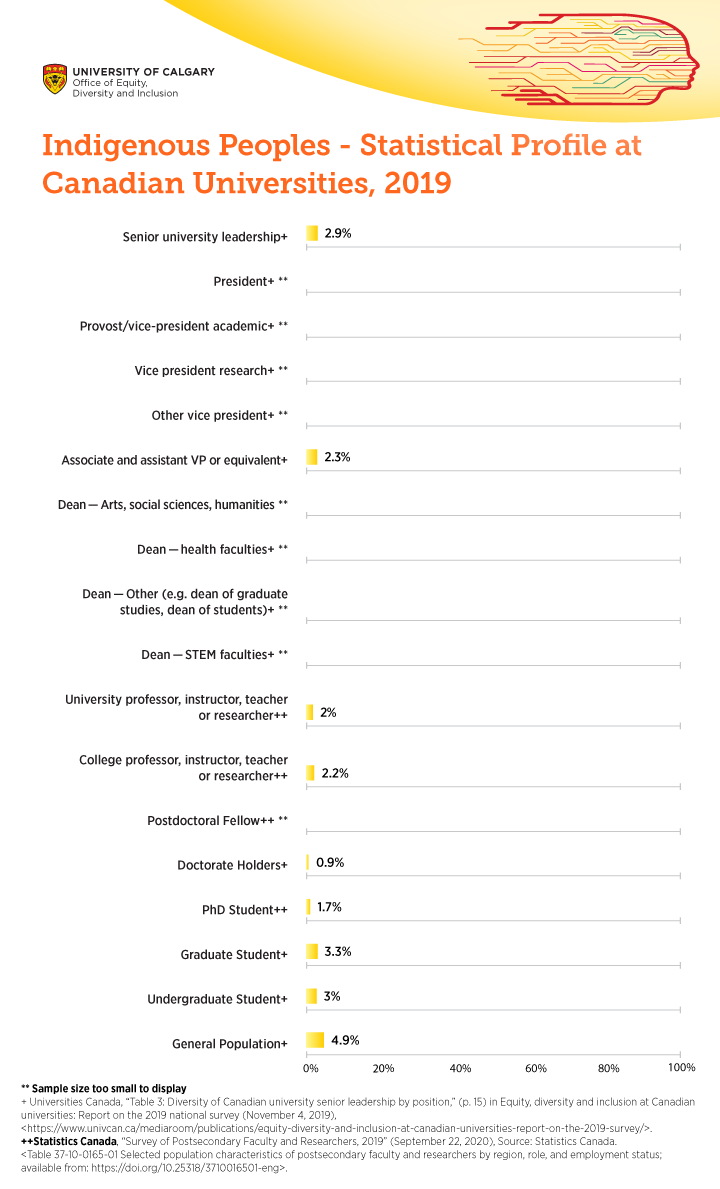 Indigenous Peoples - Statistical Profile at Canadian Universities, 2019