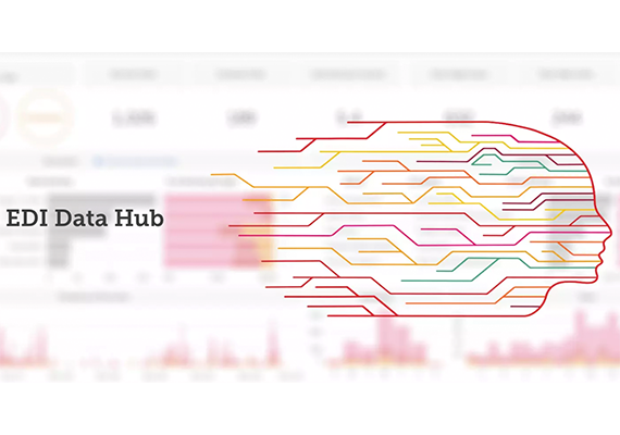 EDI Data Hub