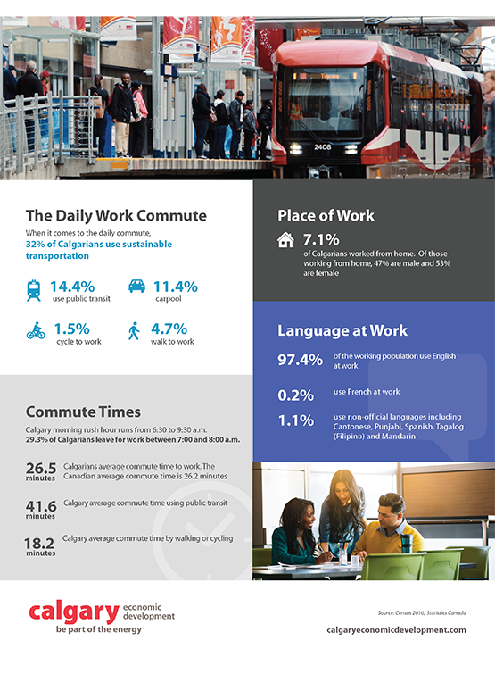 Calgary Diversity Census