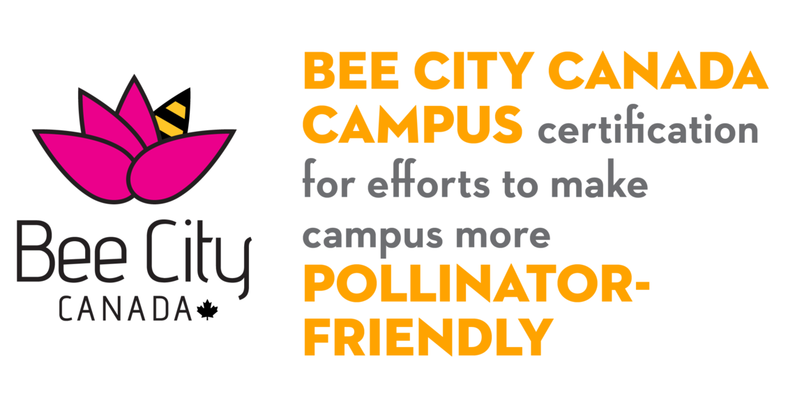 UCalgary is a Bee City Canada Campus that is certified for its efforts to make campus more pollinator-friendly.