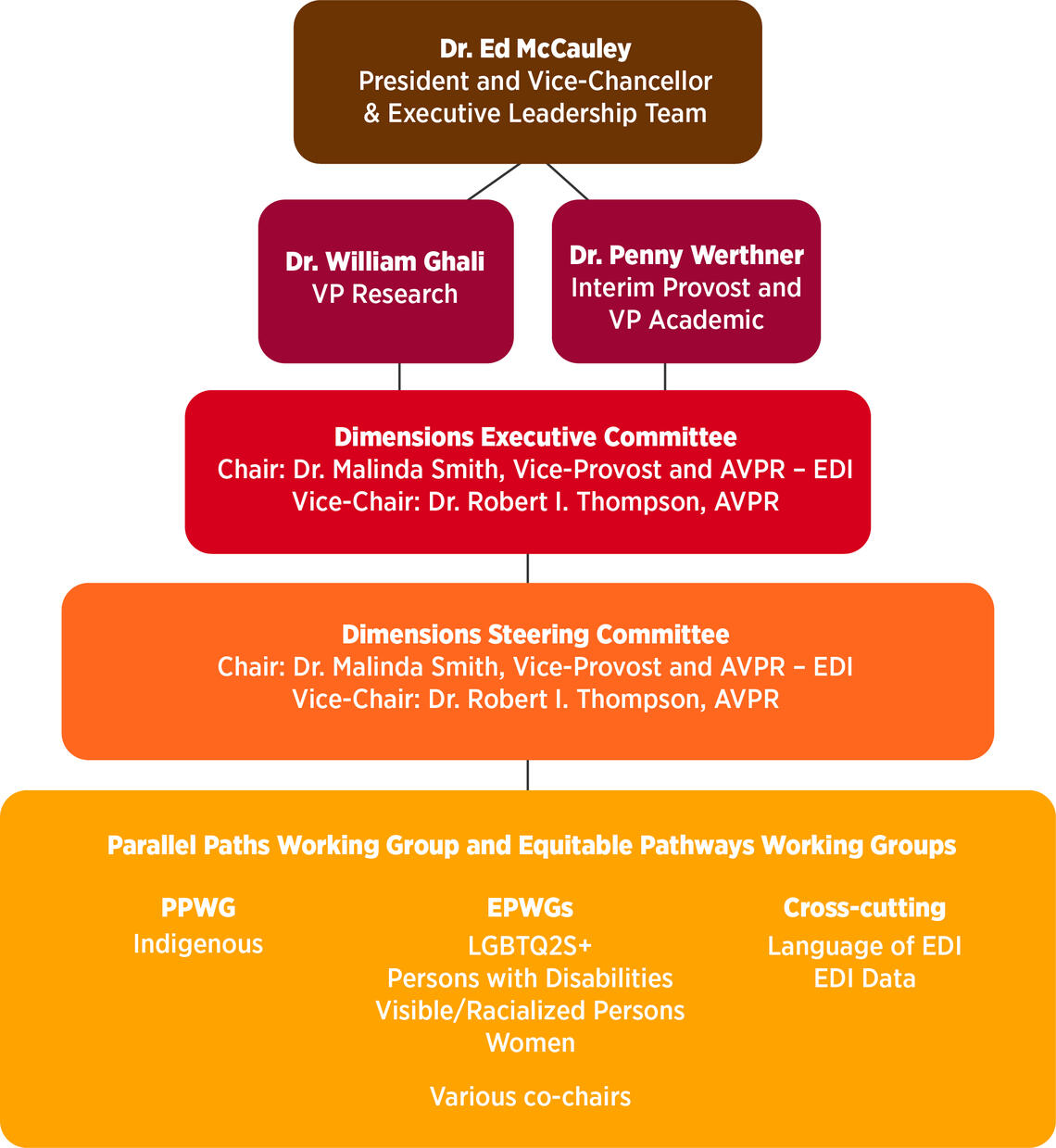 Dimensions governance diagram