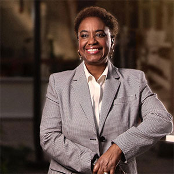 Dr. Malinda Smith, Professor and Vice-Provost & Associate Vice President Research (Equity, Diversity, Inclusion) Office of Equity, Diversity, and Inclusion, UCalgary