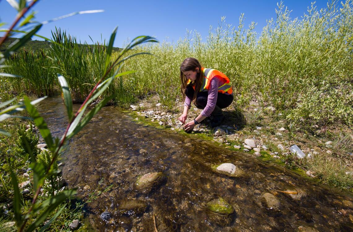 woman collecting field sample