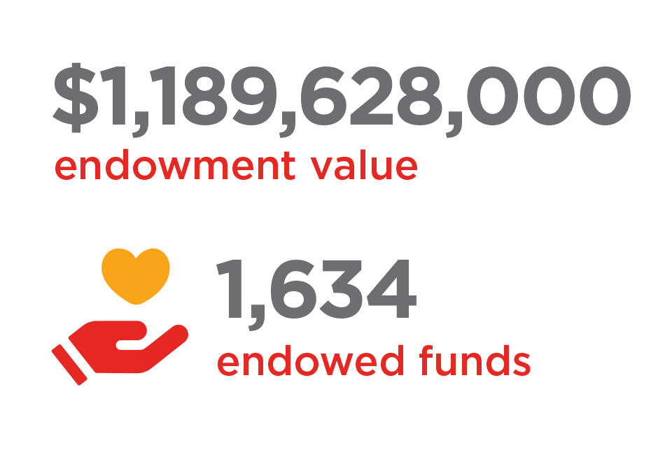 endowment stats