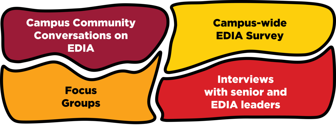 Graphic showing interlocking pieces reading focus groups, conversations on EDIA, EDIA survey, and interviews with senior and EDIA leaders