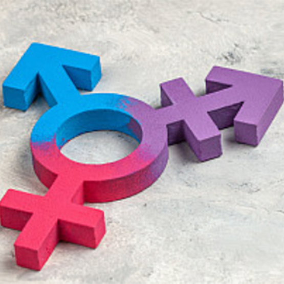 Navigating Healthcare for Transgender and Gender Diverse Patients