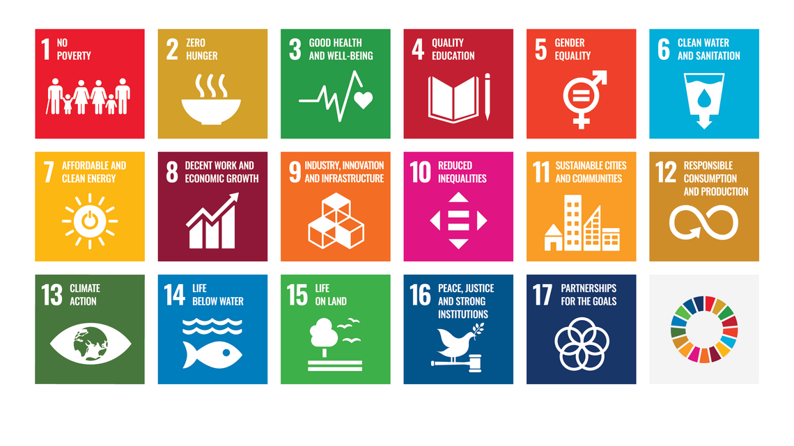 SDG poster