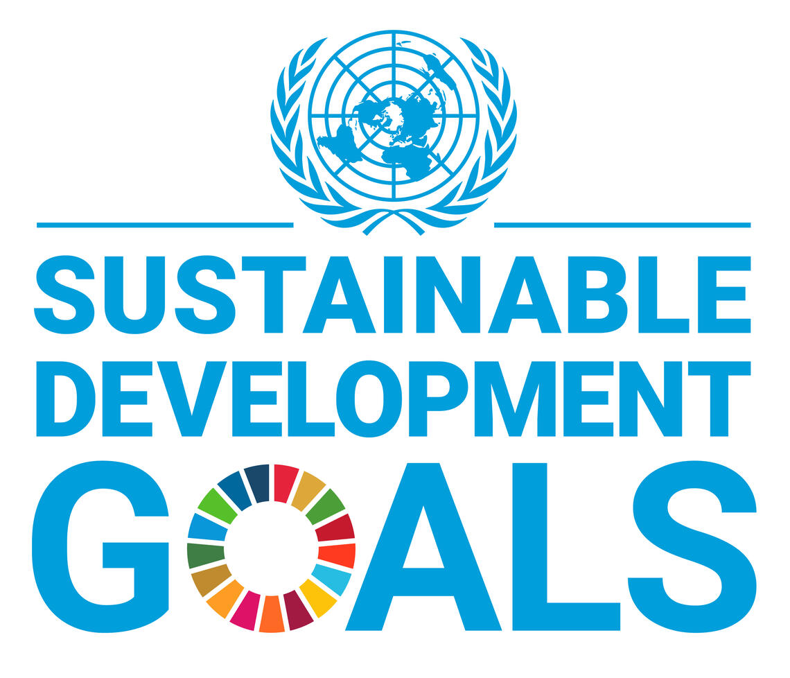 SDG logo