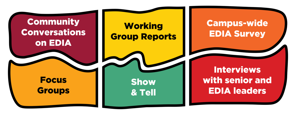 Graphic showing interlocking pieces reading focus groups, conversations on EDIA, EDIA survey, interviews with senior and EDIA leaders, show and tell and working group reports