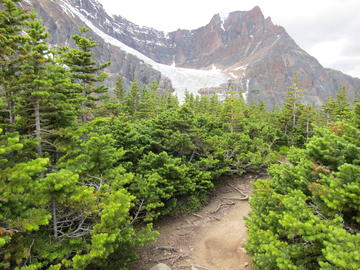 Skyline Trail Hiking Trip