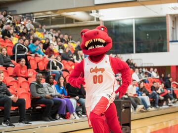 UCalgary’s mascot Rex engaging with newly admitted student at the You at UCalgary event.
