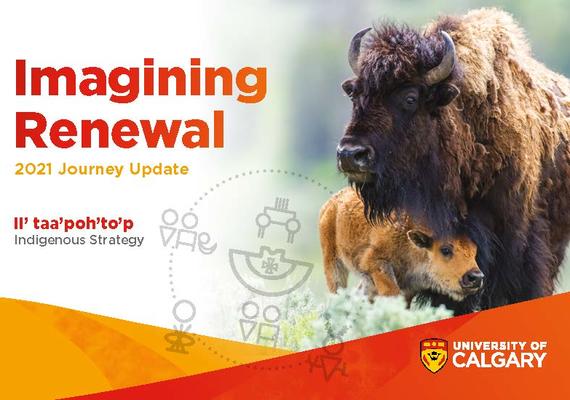 2021 Indigenous Strategy buffalo with calf (ii’ taa’poh’to’p Indigenous UCalgary)