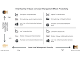 How Diversity Increases Productivity