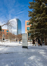 snowy main campus walkway