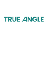 True Angle Logo
