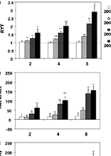 Diversity–productivity relationships: Initial effects, long-term patterns, and underlying mechanisms Jasper van Ruijven and Frank BerendseAuthors Info & Affiliations January 7, 2005