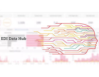 EDI Data Hub