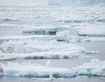 Artic ocean