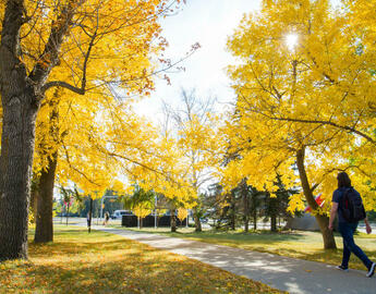 fall campus 