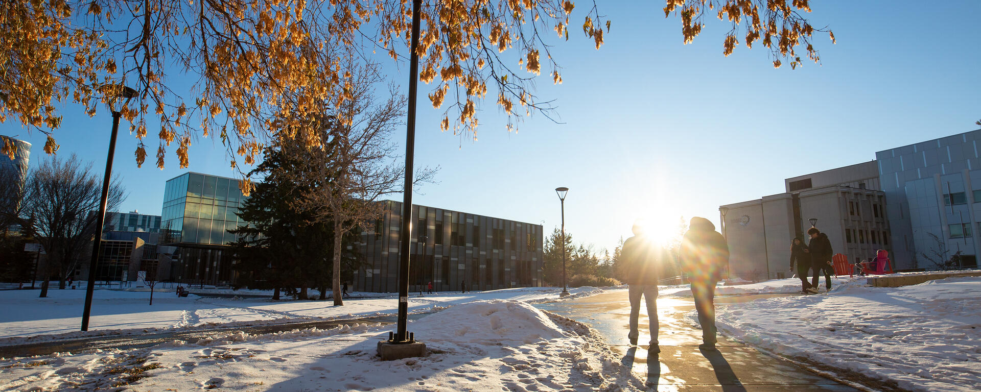 UCalgary Hybrid Work Program Launched For MaPS And Support Staff News   221214 Snow Winter Campus 023 