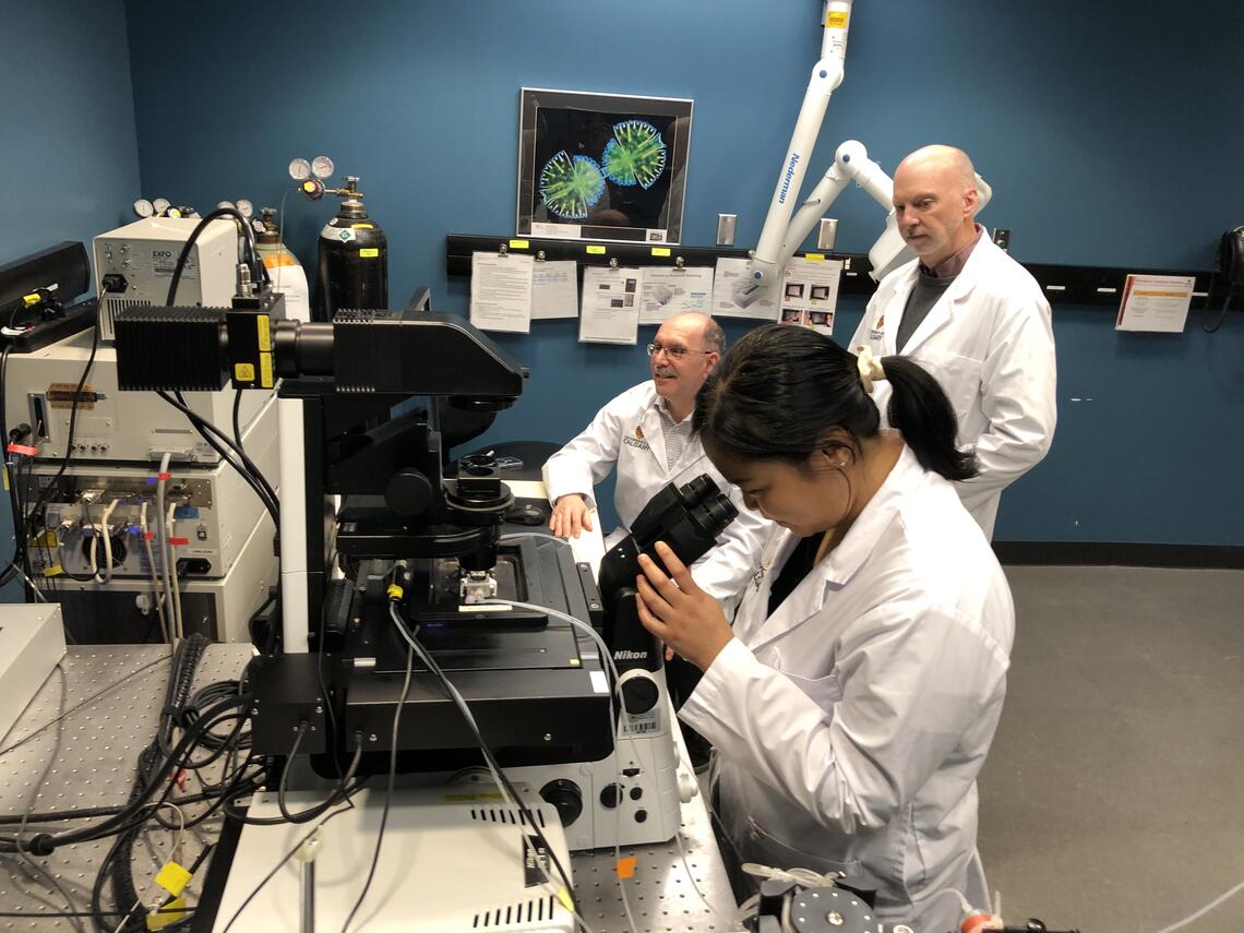 The Live Cell Imaging Lab provides researchers with access to optical imaging equipment, from sample preparation to image analysis. It also provides design services and collaboration for imaging technology and devices.