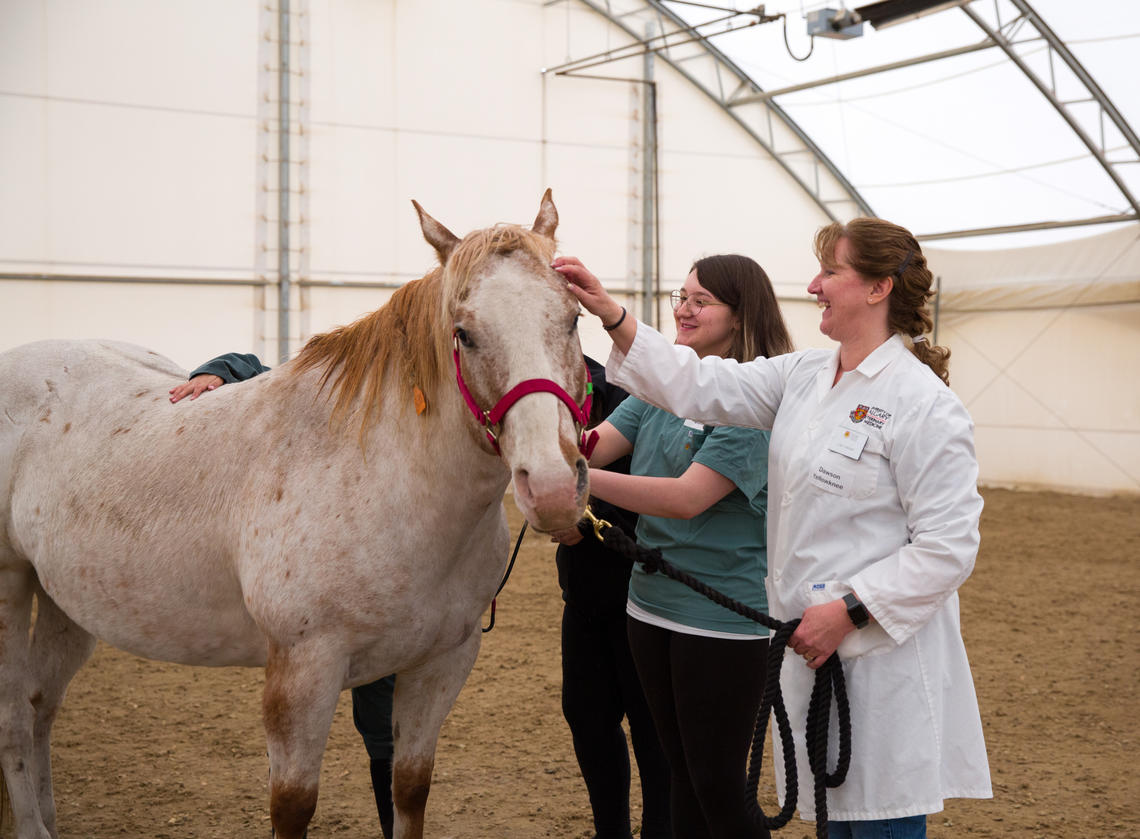 Breanna Domak takes a shine to Skipper as she learns a bit about horse health from animal health tech Lisa Colangeli.